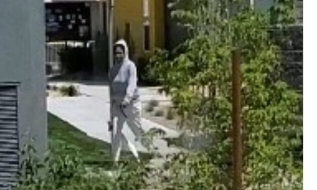 Washoe County Regional Animal Services seeks help identifying suspect in animal cruelty case