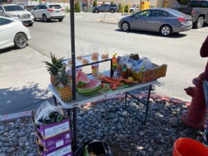 street food vendor in washoe county