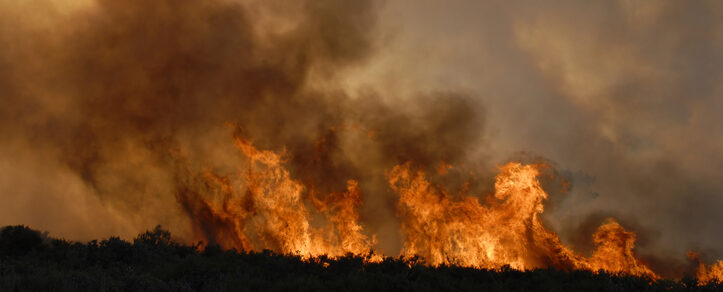 Fire and forest - Batalha city - Portugal - Europe