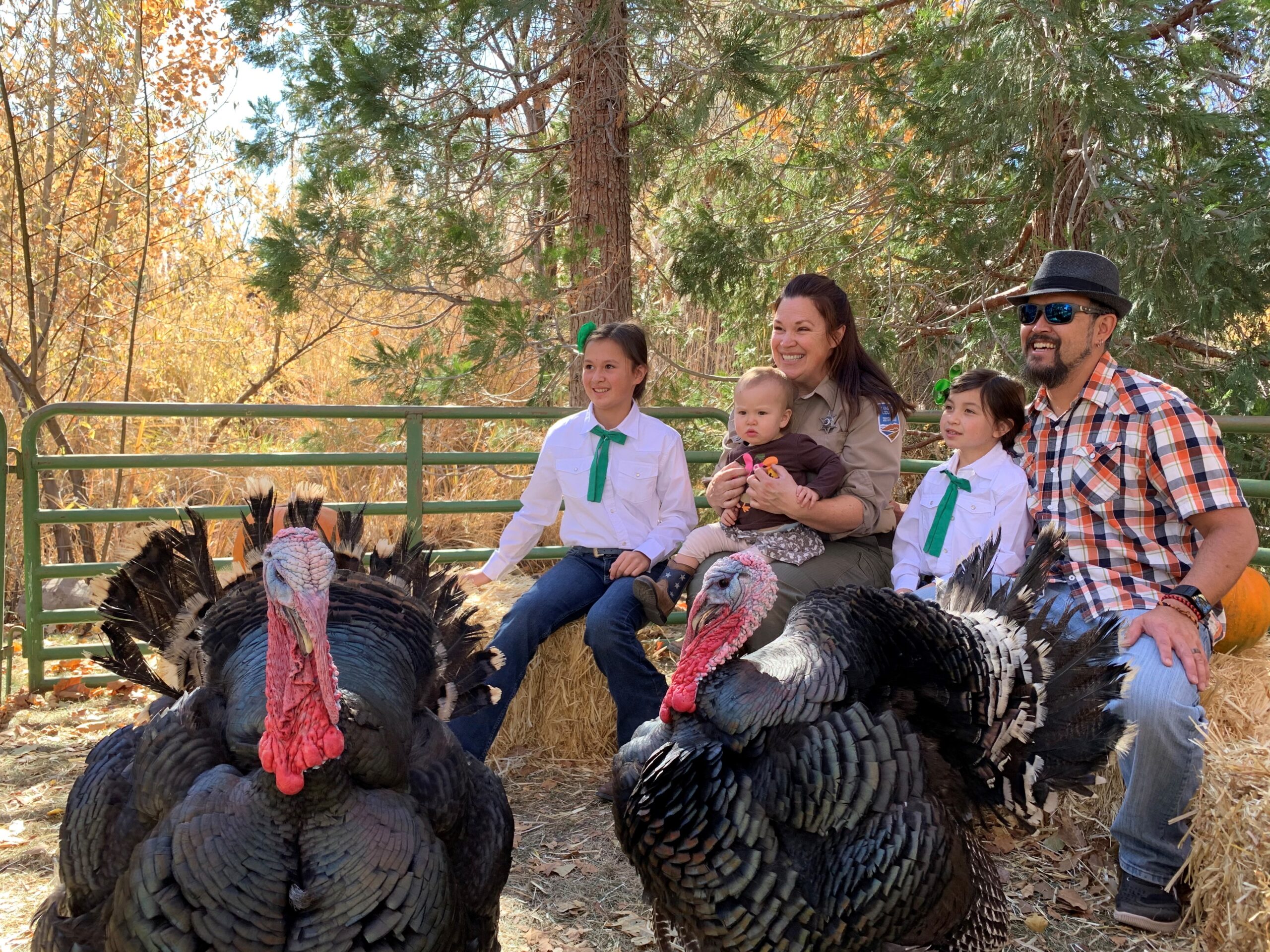 a family poses with live turkeys at a park