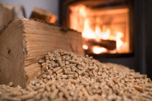 wood burning stove