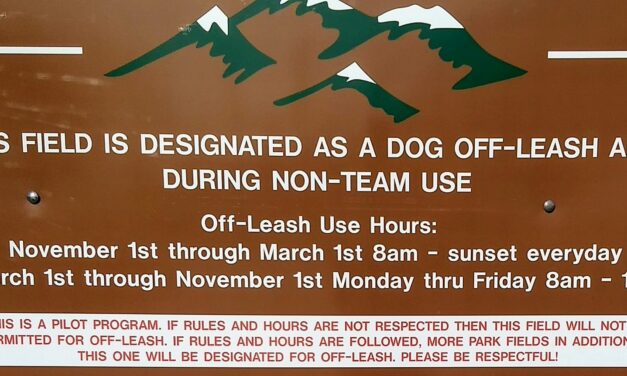 Washoe County Parks tests one-year off-leash pilot program
