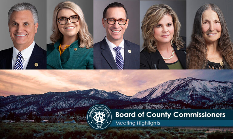 Washoe County confirms final results of 2022 Primary Election | Washoe Life