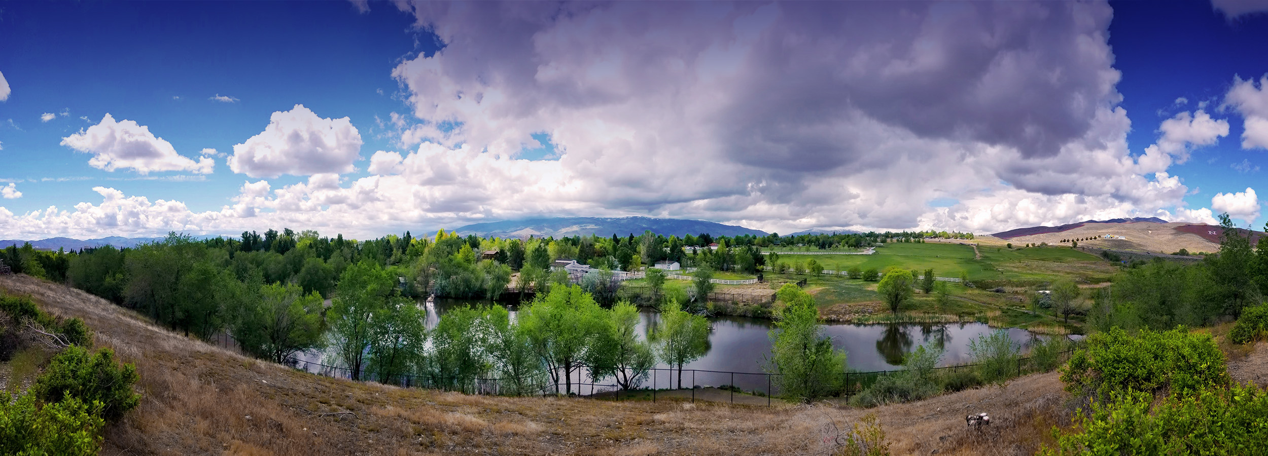 Landscape view of Rancho San Rafael Park