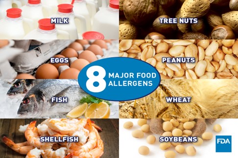 Picture of 8 major food allergens: tree nuts, peanuts, wheat, soy, fish, shellfish, eggs, & milk