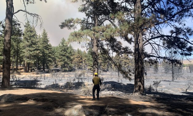 Davis Fire Timeline, Recap, and Resources