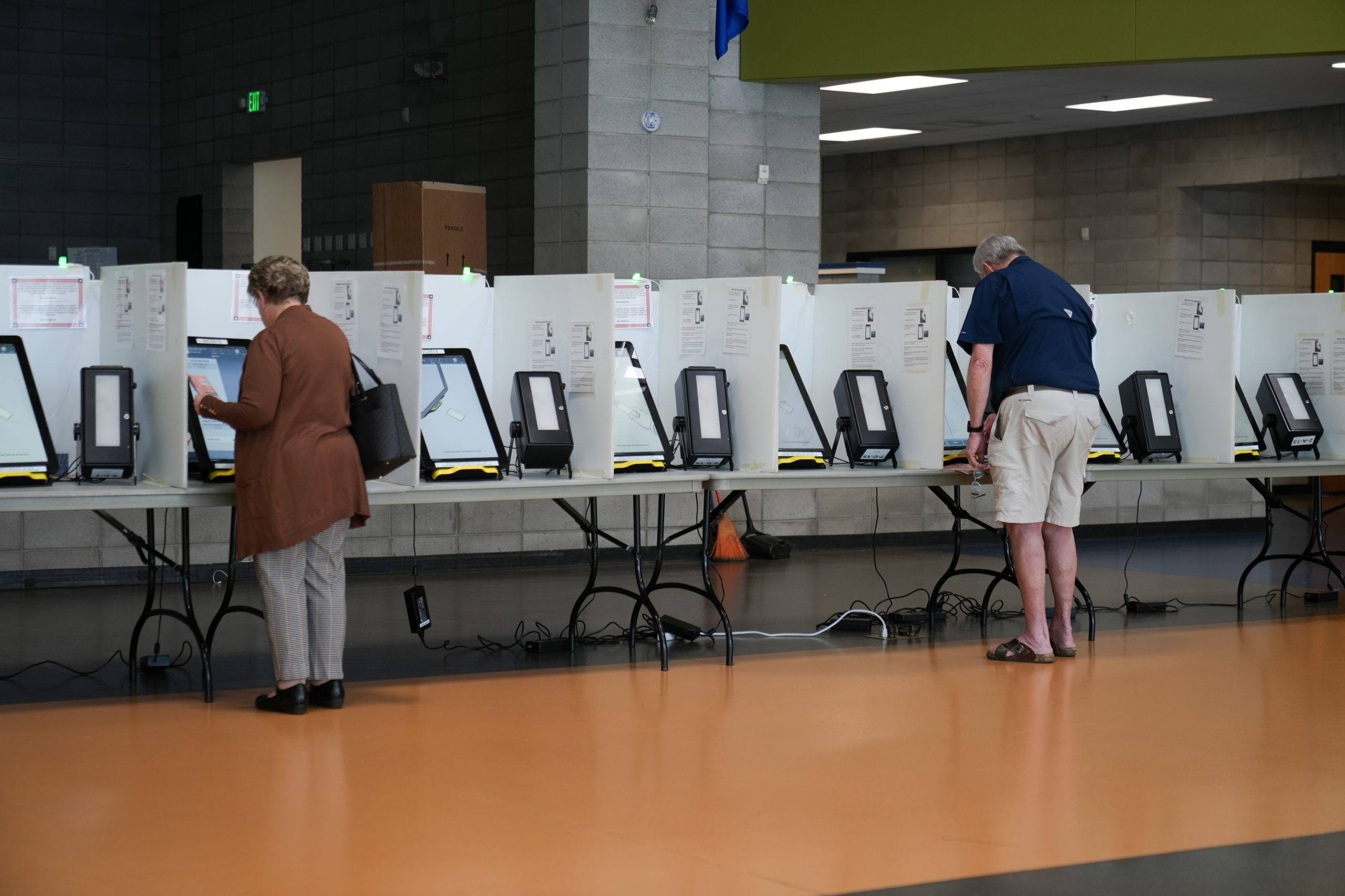 Photo of people voting at vote machines