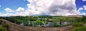 Rancho San Rafael park landscape.