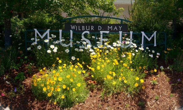 Wes Jahn named curator at Wilbur D. May Museum