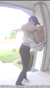 Porch pirate suspect on home surveillance footage 1