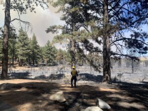 photo of a firefighter working a burned area in the forest.