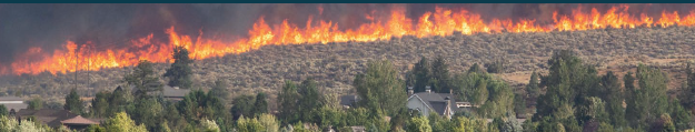 Wildfire Image