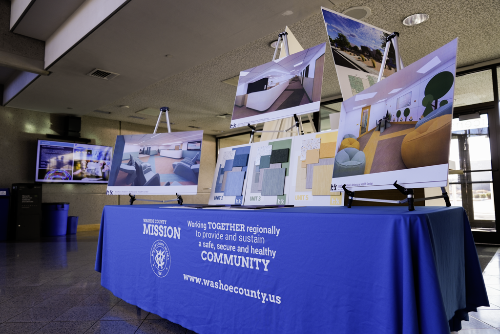 display of renderings