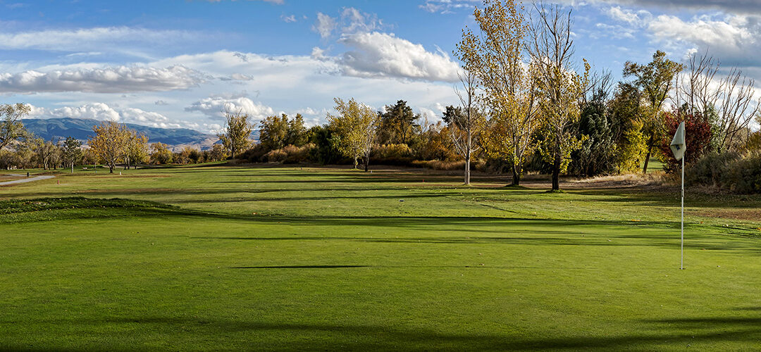 Washoe Golf status report 2025
