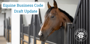 photo of a horse in a stable with the words Equine Business Code Draft Update, and the Washoe County logo