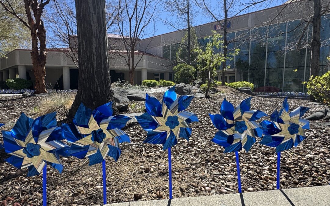 Pinwheels Provide Valuable Reminder to Protect Washoe County’s Most Vulnerable