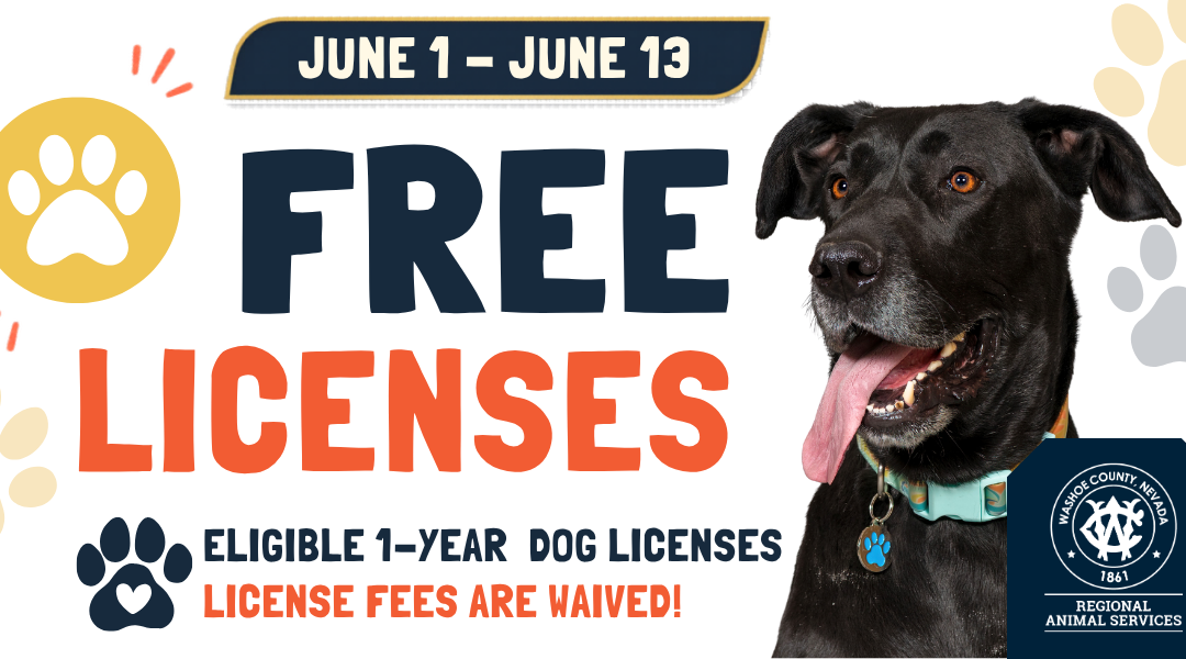 Regional Animal Services Offers Free Dog Licenses Ahead of July 4th Holiday