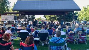 photo of people watching a concert in a park