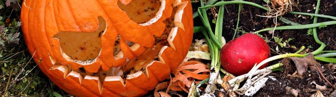 What To Do With Leaves And Pumpkins This Fall?