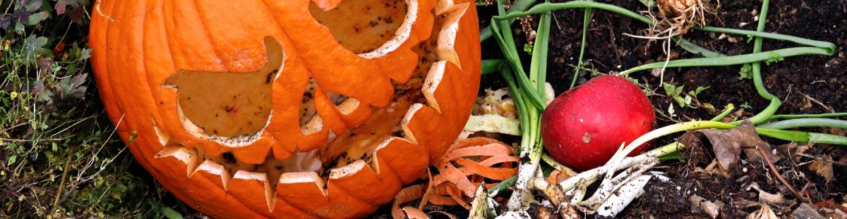 pumpkin_compost_slim1200 Jack-o-lantern in compost pile